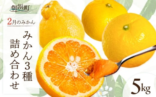 【2026年発送 先行予約品】2月の御浜柑橘 みかん詰め合わせ5キロ【先行予約 期間限定 果物 フルーツ みかん 市木オレンジ みえのスマイル 早生三宝柑 三宝柑 詰め合わせ 5kg 冬 三重県 御浜