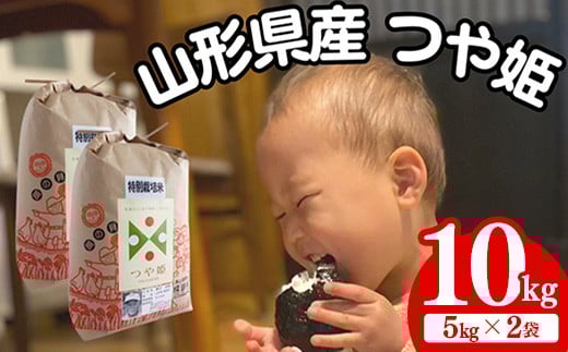 生産者の顔が見える米 特別栽培米 つや姫 白米 10kg(飯豊町産)(R7年産)【価格改定】山形県飯豊町45000米・パン白米
