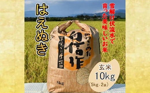 人気のブランド米 はえぬき 玄米 10kg(飯豊町産)(R7年産)【価格改定】山形県飯豊町27000米・パン白米