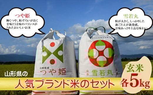 人気のブランド米 つや姫、雪若丸 玄米セット(つや姫、雪若丸 各5kg)(飯豊町産)(R7年産)【価格改定】山形県飯豊町30000米・パン玄米・雑穀米・もち米・餅