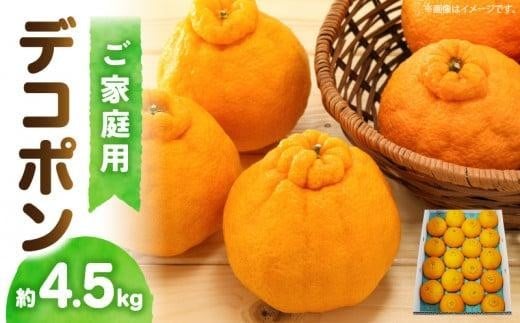 高松産季節の果物<ご家庭用 デコポン>約4.5kg【2026年2月下旬〜2026年4月上旬配送】香川県高松市20000果物・フルーツみかん・柑橘類