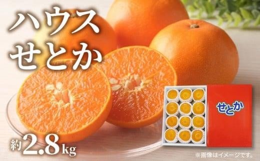ハウスせとか 約2.8kg【2026年1月下旬〜2026年2月下旬配送】香川県高松市20000果物・フルーツみかん・柑橘類