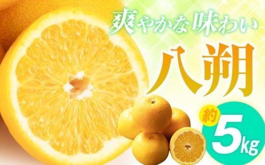 爽やかな味わい 八朔 約5kg【2026年2月中旬〜2026年3月下旬配送】香川県高松市14000果物・フルーツみかん・柑橘類
