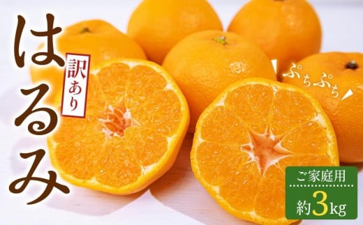 訳あり ご家庭用 はるみ 約3kg【2026-2月上旬〜2026-3月下旬配送】香川県高松市8000果物・フルーツみかん・柑橘類