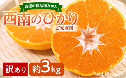 寄附額改定/【訳あり 】みかん 西南のひかり ご家庭用 約3kg【2024-12月上旬〜2025-1月上旬配送】香川県高松市7000果物・フルーツみかん・柑橘類
