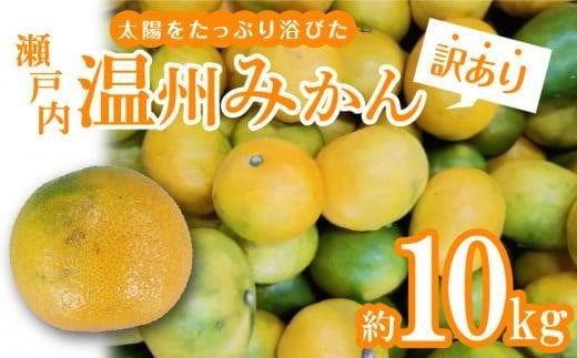 【訳あり】太陽たっぷり浴びた 瀬戸内温州みかん 約10kg【2025-10月上旬〜2026-1月中旬配送】香川県高松市13000果物・フルーツみかん・柑橘類