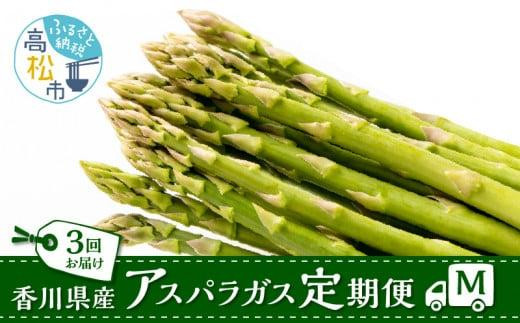 香川県産アスパラガス定期便M香川県高松市65000野菜・きのこその他 野菜