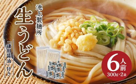 本家 池上製麺所 生うどん(鎌田醤油付)2袋(6人前)|うどん 生? るみおばあちゃん うどんセット 生醤油 生うどん 麺 麺類 香川 香川県 高松 讃岐 さぬき香川県高松市3000麺うどん