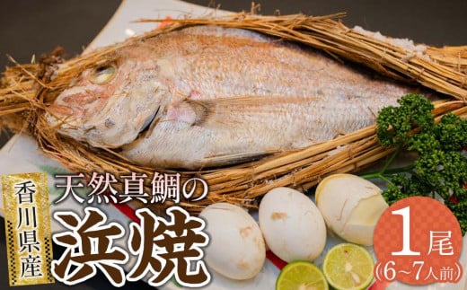 天然真鯛の浜焼1尾(6人〜7人前)香川県高松市29000魚介・海産物鮮魚