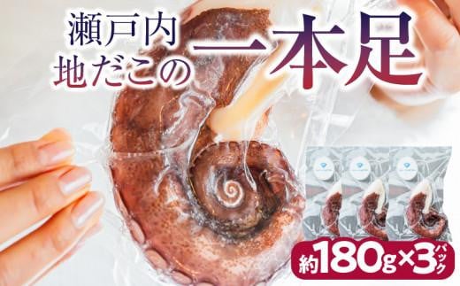 瀬戸内地だこの一本足香川県高松市13000魚介・海産物イカ・タコ・ウニ
