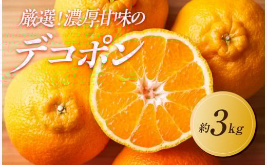 【2026年3月上旬より順次発送】厳選!濃厚甘味の「不知火(しらぬい)」約3kg|果物 くだもの フルーツ 柑橘 みかん 不知火  濃厚 甘い ミカン 人気 おすすめ 先行予約 香川 高松香川県高松市140