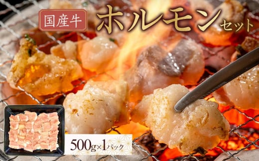 Y@zZbg@500g쌧s13000