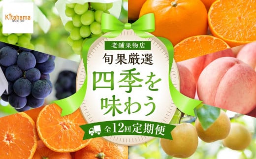 y֑S12z{ʌIIlG𖡂키Piց􍁐쌧s140000ʕEt[c̑ ʕEt[c