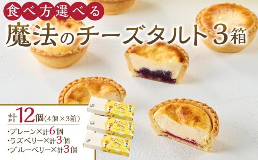 かにわしタルト店の食べ方選べる魔法のチーズタルト12個入り(4個入り×3箱)香川県高松市18000菓子・スイーツケーキ・カステラ