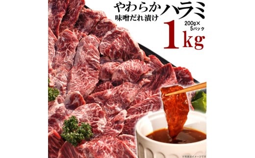 やわらかハラミ味噌だれ漬け1kg(200g×5)香川県高松市15000肉牛肉