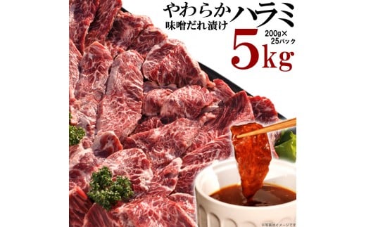 やわらかハラミ味噌だれ漬け5kg(200g×25)香川県高松市55000肉牛肉