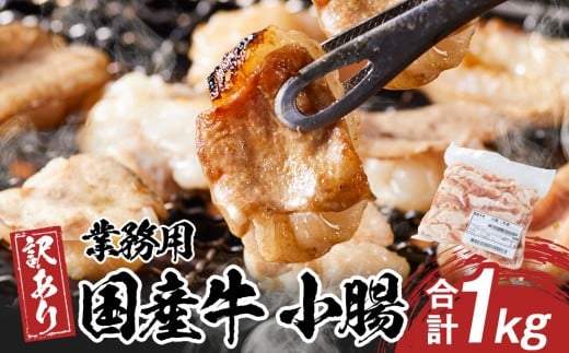 sƖpEAtY@@1kg쌧s14000̑ 