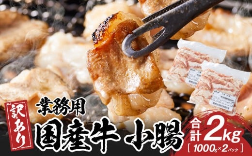 sƖpEAtY@@2kg쌧s24000̑ 