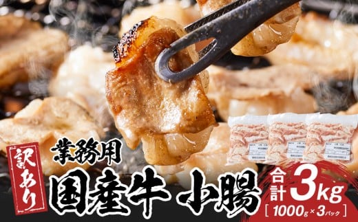 《業務用・訳アリ》国産牛 小腸 3kg香川県高松市35000肉その他 肉