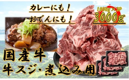国産牛 スジ 3kg香川県高松市24000肉その他 肉