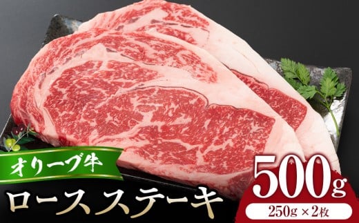 I[u[XXe[L250g2荁쌧s35000