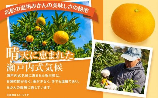 ˓B݂i2L`MTCYj2.5kgy10{`1{z\z쌧s5000ʕEt[c݂Ek