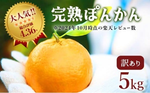 <先行予約>訳アリ完熟ぽんかん 5kg 国産 東洋町産 訳あり 甘酸っぱい ジューシー 高知県 東洋町 四国 お取り寄せ フルーツ 蜜柑 ミカン 果物  産地直送 F119高知県東洋町10000果物・フルーツ