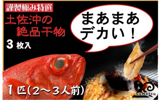 傫ȋڑiL_Cj3Zbg@U100mm20000ECYN