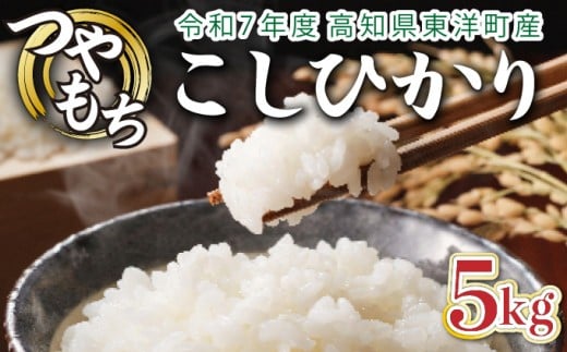 <2025年11月発送>令和7年産コシヒカリ 5kg【S137】高知県東洋町12000米・パン白米