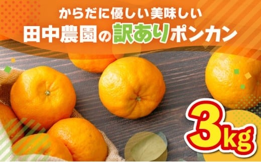 【先行予約】訳ありポンカン 3kg(L~3Lサイズ) 国産 東洋町産 訳あり 甘酸っぱい ジューシー 蜜柑 ミカン 高知県 東洋町 四国 お取り寄せ フルーツ 果物  TA11高知県東洋町13500果物・フルーツ