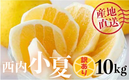 【訳アリ】西内小夏 10kg N52高知県東洋町14500果物・フルーツみかん・柑橘類