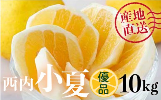 【優品】西内小夏 10kg N55高知県東洋町26000果物・フルーツみかん・柑橘類