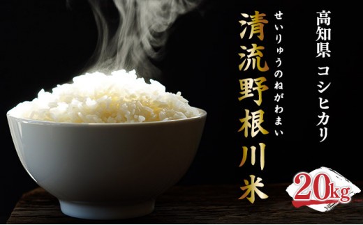 <先行予約> 清流野根川米( コシヒカリ )20kg! 令和6年度産 新米 東洋町産 国産 精米 白米 米 コメ こめ もっちり 四国 お取り寄せ 家庭用 自宅用 贈答用 ギフト 贈り物   U106高知県東洋町2