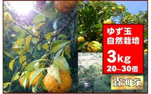 <先行予約!>ゆず玉 3kgセット 期間限定 柑橘 ジューシー 自然栽培 国産 柚子 S164高知県東洋町9000果物・フルーツみかん・柑橘類