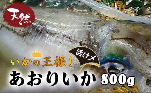 y~zYNxI肢 800g Y CJ N m m l   }Ⓚ 菤i M178mm15000ECYCJE^REEj