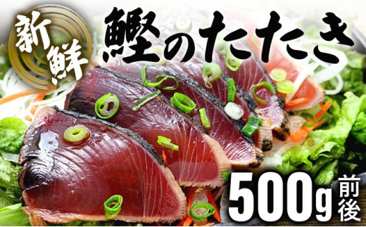 鰹のたたき!できたて出荷!【5~6人前】 刺身 かつお タタキ たっぷり 海鮮 新鮮 ゆず果汁付き 四国 お取り寄せ 家庭用 自宅用 贈り物  S197高知県東洋町9500魚介・海産物鮮魚