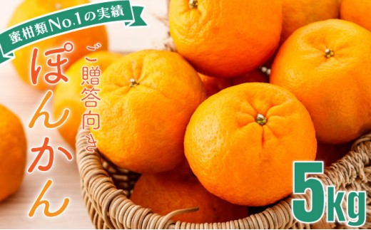 「先行予約」東洋町の完熟ポンカン<5kg> U108高知県東洋町10000果物・フルーツみかん・柑橘類