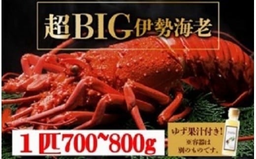 BIGɐCV1C1000C1CxIyⓀzhgOK Y mY VR VN CN l  j LO 蕨   S241mm25000ECYGr