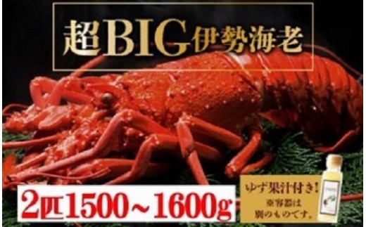 BIGɐCV2C1000C1Cx2CIyⓀz hgOK Y mY VR VN CN l  j LO 蕨   S242mm45000ECYGr