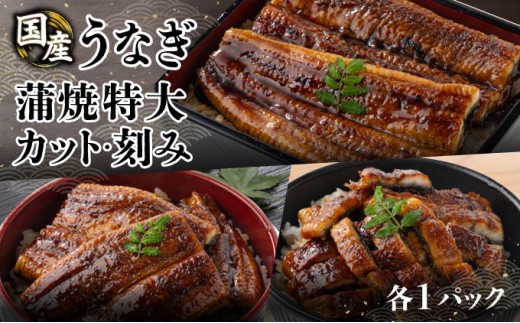 Zbg ē200g1EJbg60gE60gie1jsw\tEiM V m m l  ƒp p 蕨 Mtg ^ERt ȏd V Ș ȒЂ U0
