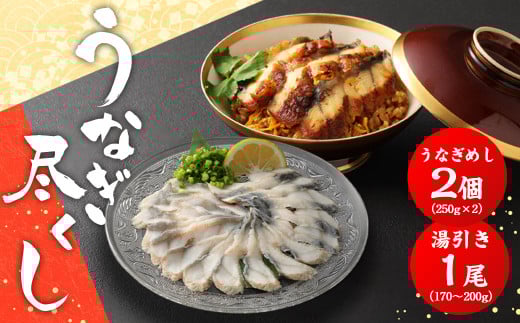 うなぎ尽くし 湯引き(刺身)とうなぎめしセット うなぎ 湯引き 刺身 1尾 170〜200g うなぎめし 250g×2個福岡県柳川市28000魚介・海産物うなぎ