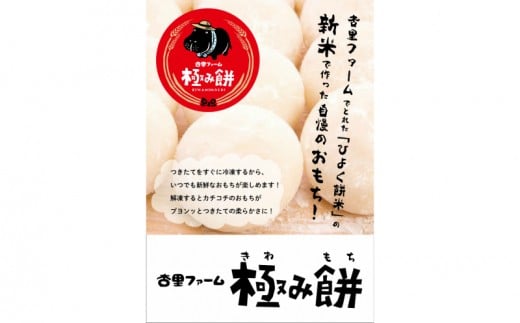 杏里ファームの極み餅 丸餅10個入り (約500g) ×5セット福岡県柳川市12000米・パン玄米・雑穀米・もち米・餅