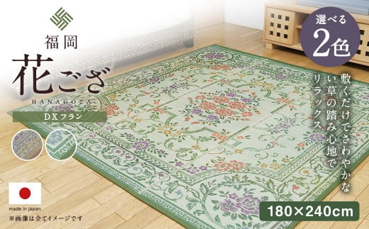 福岡 花ござ DXフラン 180×240cm(ベージュ/グリーン)カーペット ラグ福岡県柳川市63000衣類・装飾品・工芸品その他 装飾品・工芸品