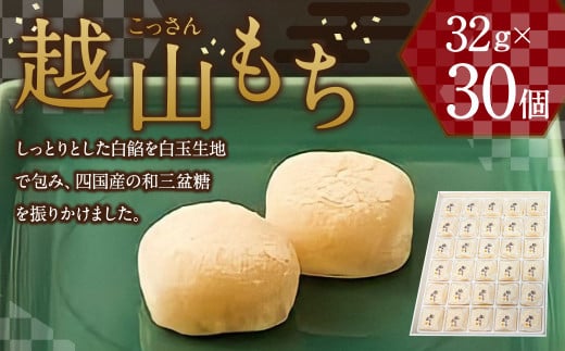 梅花堂越山 越山もち 32g(1個)×30個  計960g お菓子 和菓子 もち福岡県柳川市17000菓子・スイーツその他 和菓子