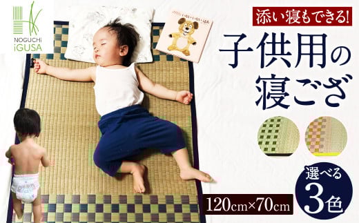 添い寝もできる! 子供 用の 寝ござ (グリーン/ピンク/ブルー) い草 寝具 選べる3色福岡県柳川市19000雑貨・日用品寝具・タオル