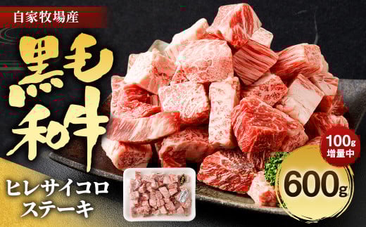 数量限定 増量!! 自家牧場産 黒毛和牛 ヒレサイコロステーキ 600g 手作り 和風ソース 付き福岡県柳川市45000肉牛肉