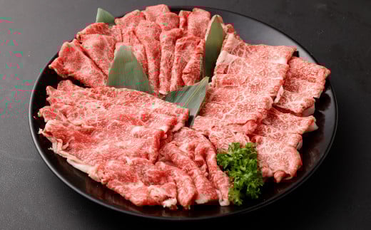博多和牛部位別 食べ比べ対決 合計約600g (各約200g×3パック)福岡県柳川市46000肉牛肉