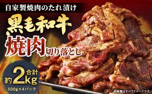 vmII̎Ɛē̂Ђјaēؗ 2kg(500g×4)s46000