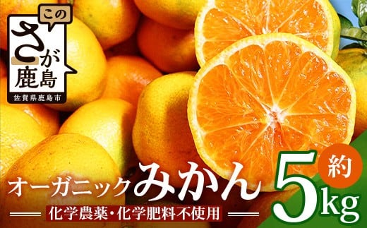 【先行予約】 オーガニック みかん 約5kg 有機栽培 国産 B-70佐賀県鹿島市11000果物・フルーツみかん・柑橘類