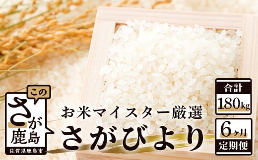 V-2 《6ヶ月定期便》鹿島市産さがびより 白米(毎月30kg×6回)佐賀県鹿島市310000米・パン白米